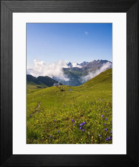 Framed Print : 2s4h4dp Framed Print : 2s4h4dp