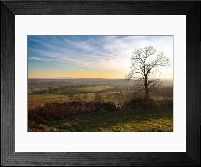Framed Print : 2s4hye6 Framed Print : 2s4hye6