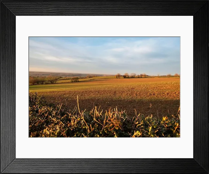 Framed Print : 2s4hyjd Framed Print : 2s4hyjd