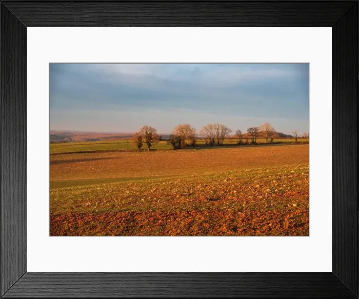 Framed Print : 2s4hyje Framed Print : 2s4hyje