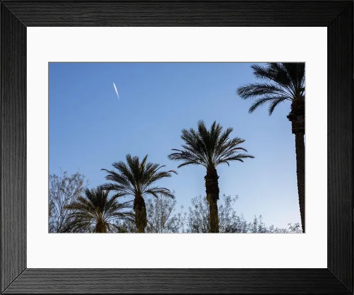 Framed Print : 2s4kj1y Framed Print : 2s4kj1y