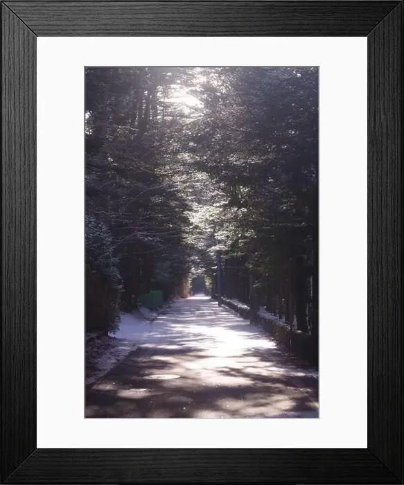 Framed Print : 2s56ey9 Framed Print : 2s56ey9