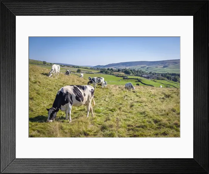 Framed Print : 2s5mkf6 Framed Print : 2s5mkf6