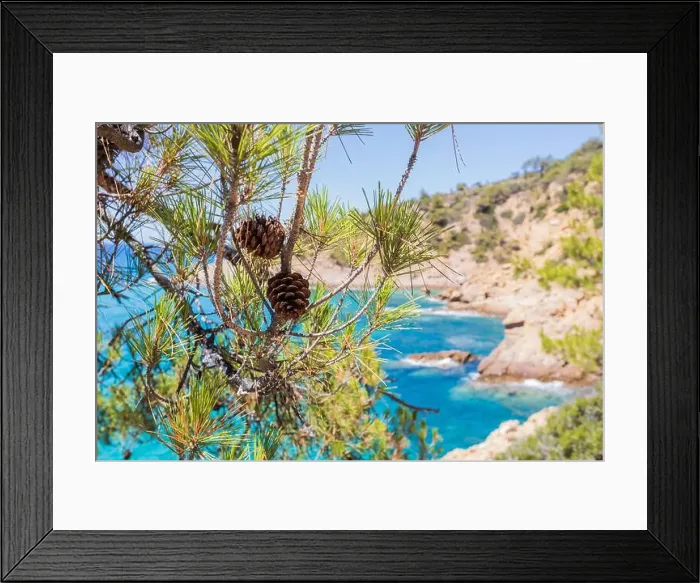 Framed Print : 2s5ygj4 Framed Print : 2s5ygj4