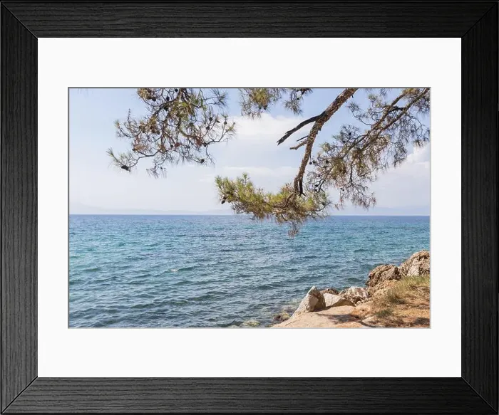 Framed Print : 2s5yhag Framed Print : 2s5yhag