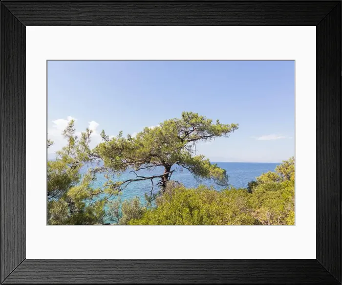 Framed Print : 2s5yhc7 Framed Print : 2s5yhc7