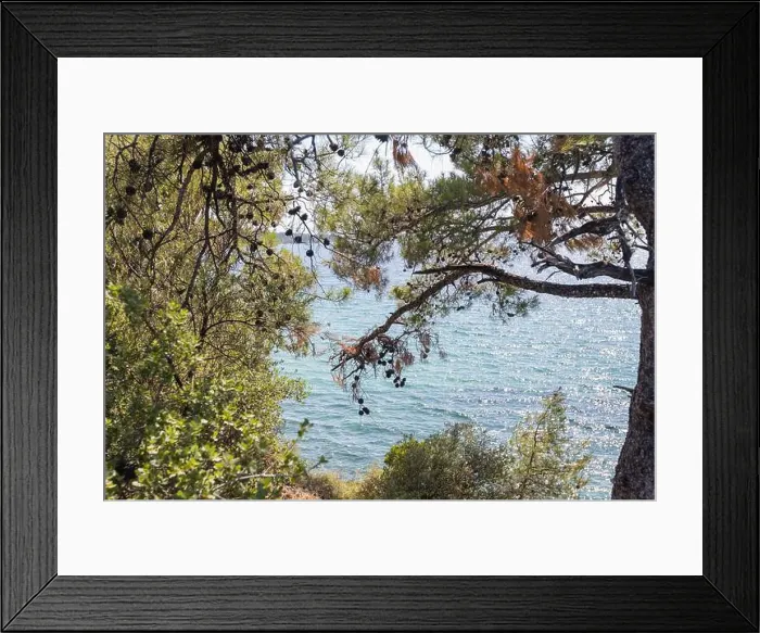 Framed Print : 2s5yhcj Framed Print : 2s5yhcj