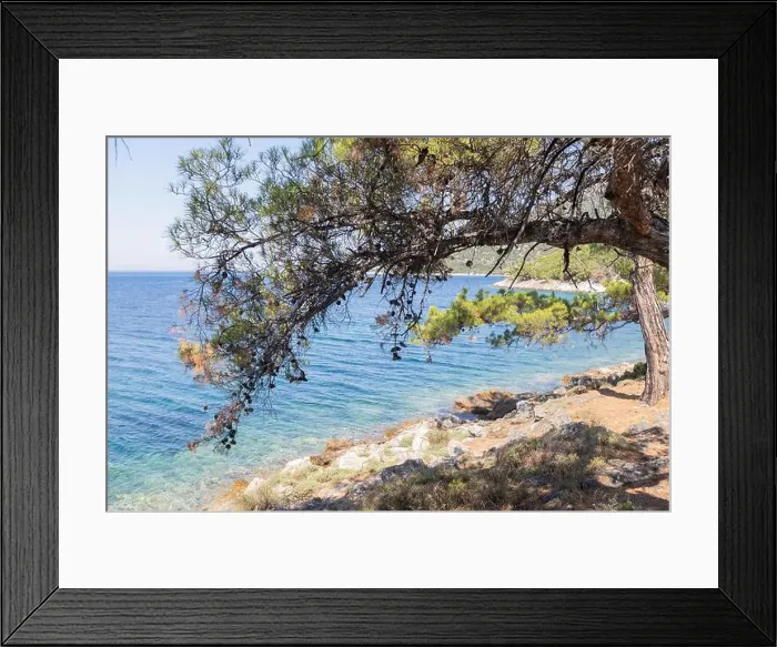 Framed Print : 2s5yhct Framed Print : 2s5yhct