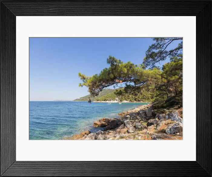 Framed Print : 2s5yhd2 Framed Print : 2s5yhd2