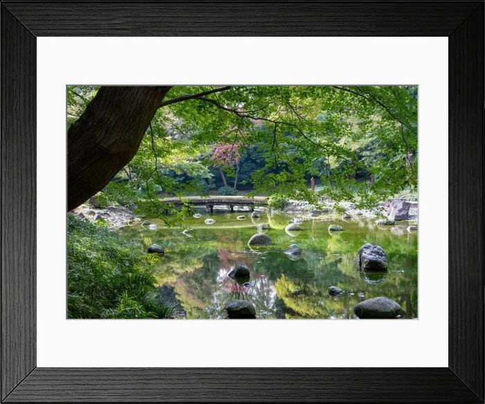 Framed Print : 2s6113k Framed Print : 2s6113k