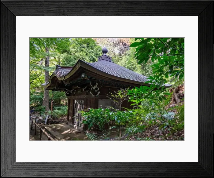 Framed Print : 2s6113m Framed Print : 2s6113m