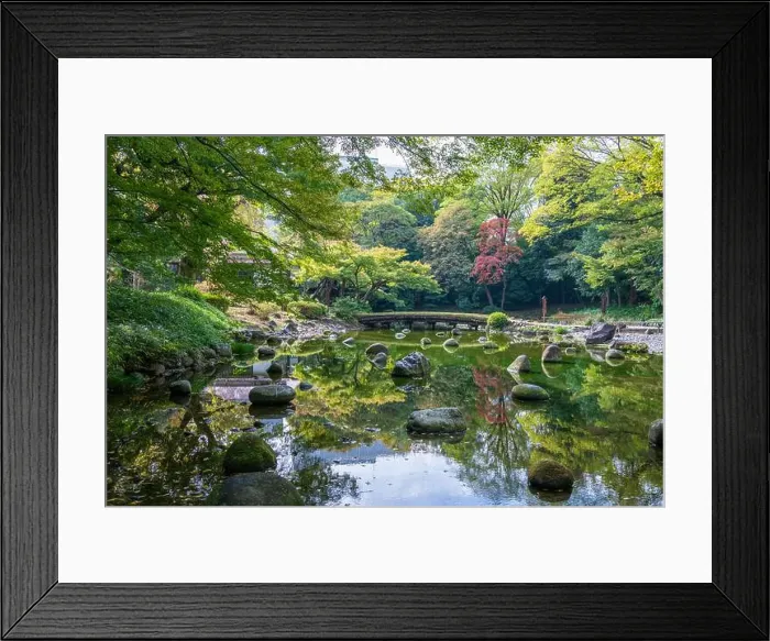 Framed Print : 2s6113n