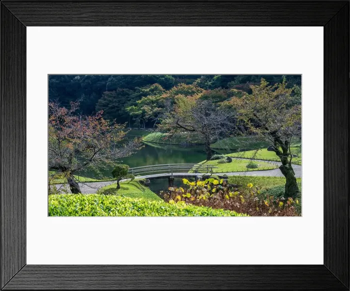 Framed Print : 2s6113p Framed Print : 2s6113p