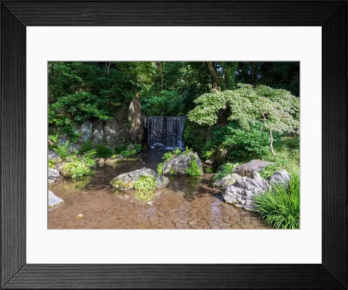 Framed Print : 2s6113t Framed Print : 2s6113t