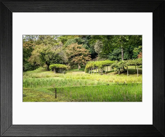 Framed Print : 2s6113x Framed Print : 2s6113x