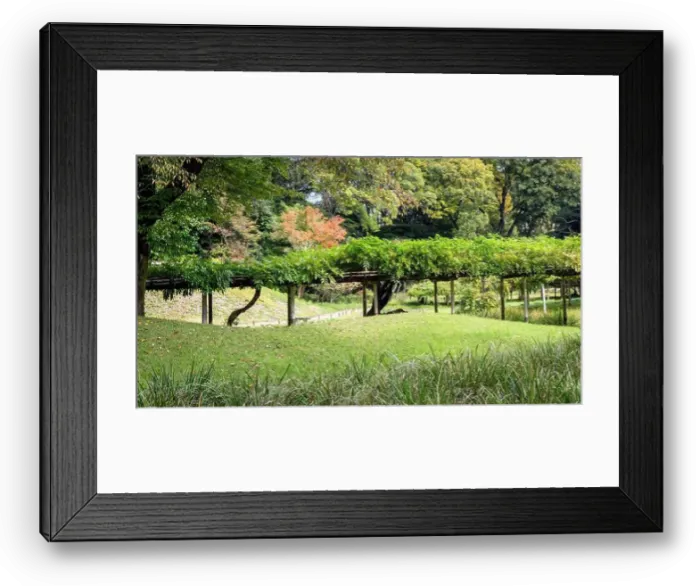 Framed Print : 2s61140 Framed Print : 2s61140