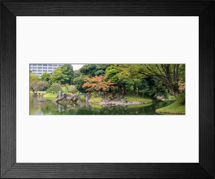 Framed Print : 2s61142