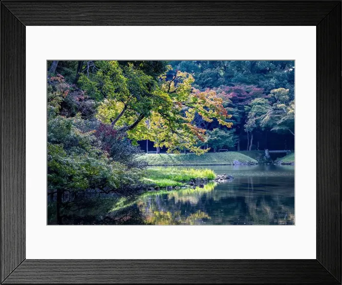 Framed Print : 2s61146 Framed Print : 2s61146