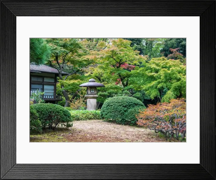 Framed Print : 2s61149 Framed Print : 2s61149