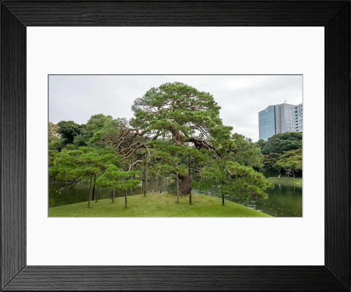 Framed Print : 2s6114d Framed Print : 2s6114d