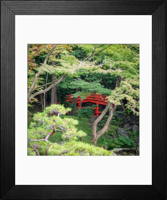 Framed Print : 2s6114e Framed Print : 2s6114e