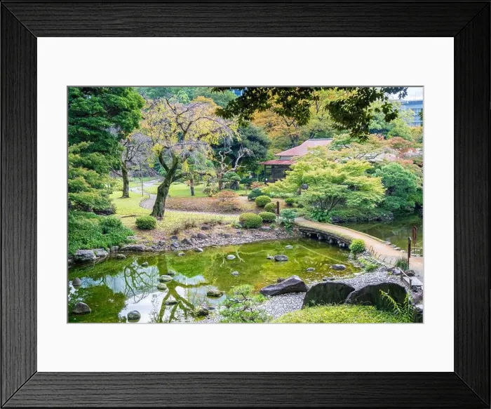 Framed Print : 2s6114g Framed Print : 2s6114g