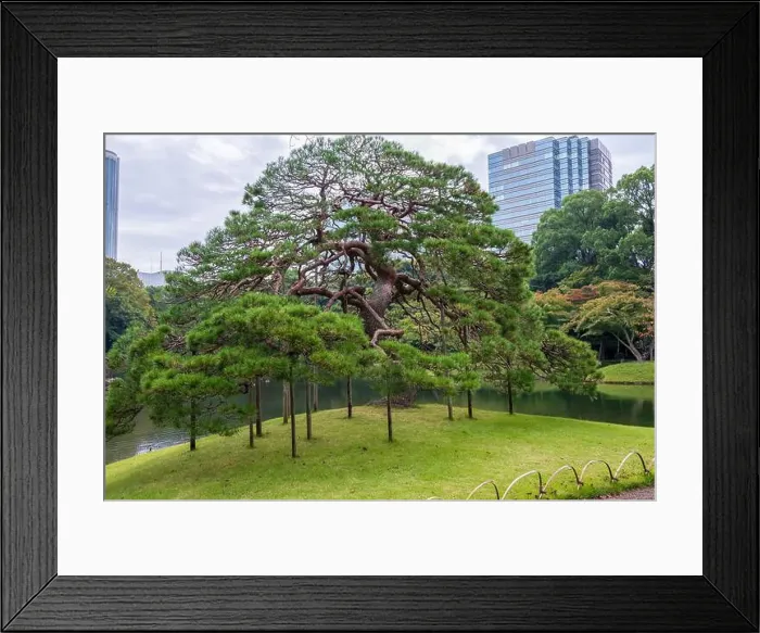 Framed Print : 2s6114m Framed Print : 2s6114m