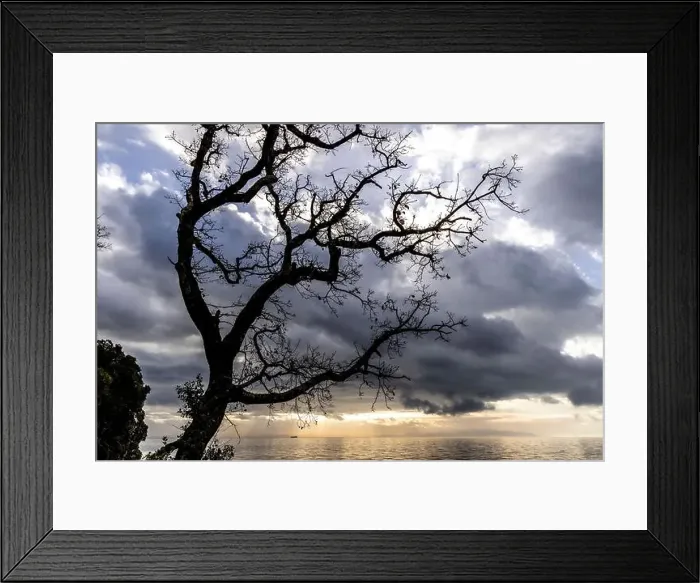 Framed Print : 2s61pja Framed Print : 2s61pja