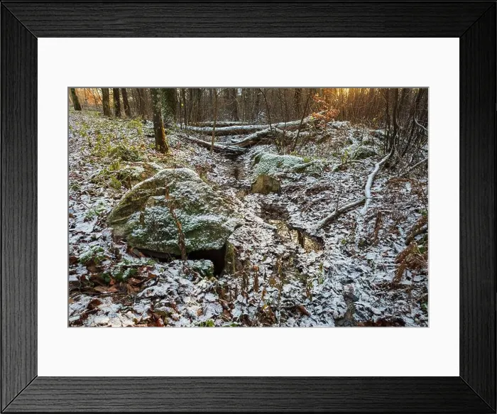 Framed Print : 2s65j7g Framed Print : 2s65j7g