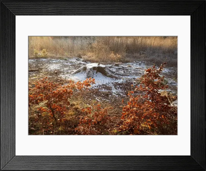 Framed Print : 2s65j7m Framed Print : 2s65j7m