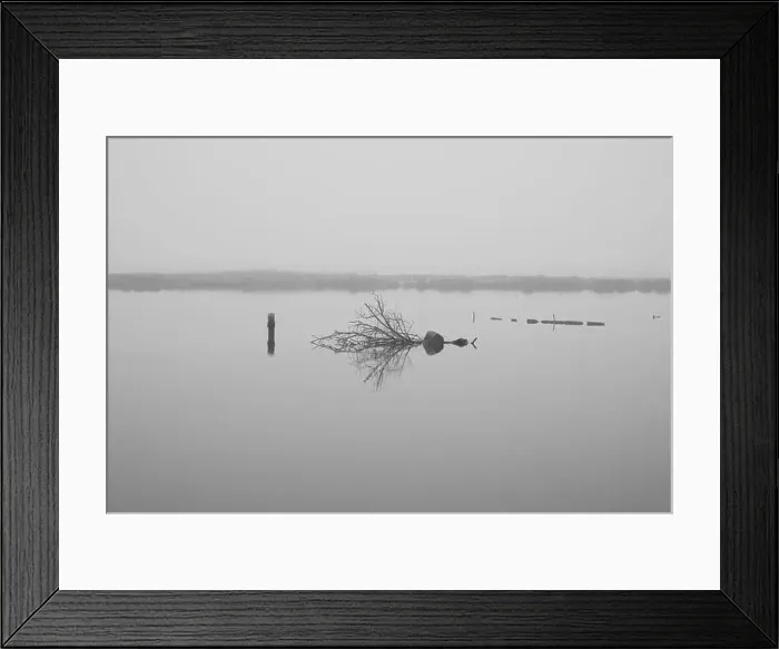 Framed Print : 2s67n0k Framed Print : 2s67n0k