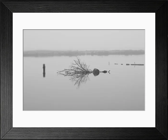 Framed Print : 2s67n3f Framed Print : 2s67n3f