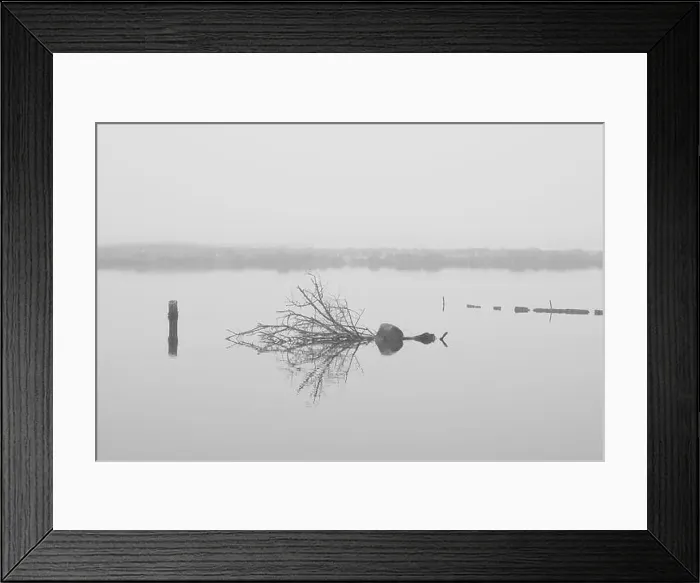 Framed Print : 2s67n3m Framed Print : 2s67n3m