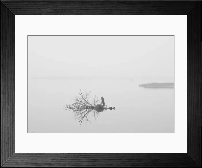 Framed Print : 2s67n3p Framed Print : 2s67n3p
