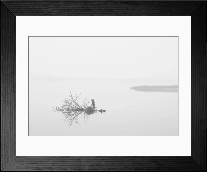 Framed Print : 2s67n3x Framed Print : 2s67n3x