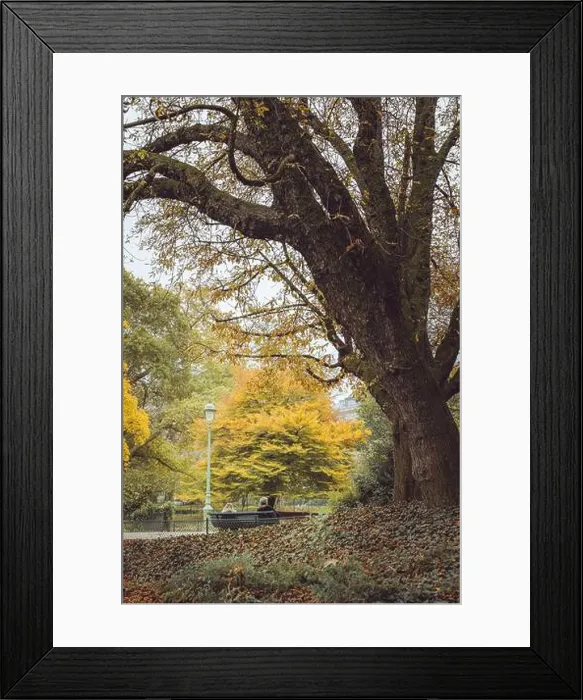Framed Print : 2s68a4k Framed Print : 2s68a4k