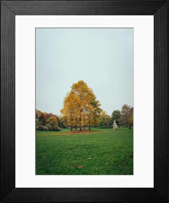 Framed Print : 2s68a4x Framed Print : 2s68a4x