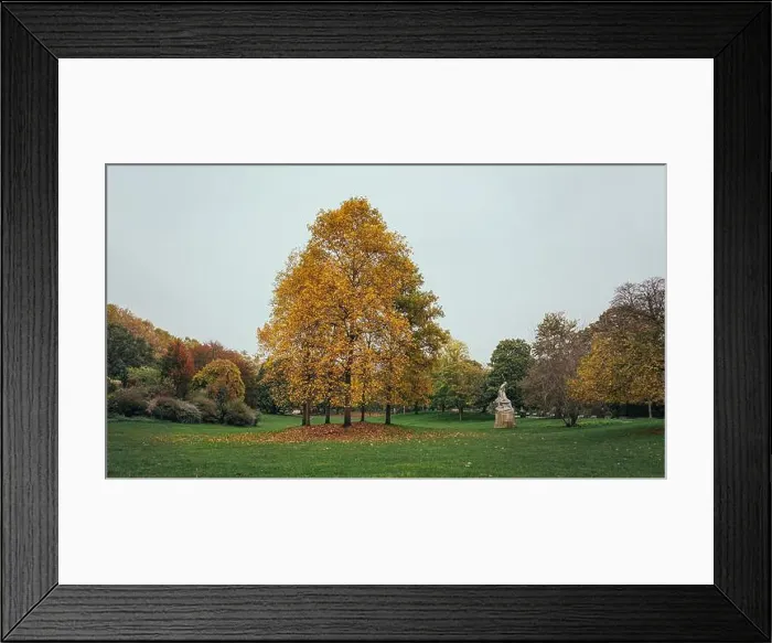 Framed Print : 2s68a6m Framed Print : 2s68a6m