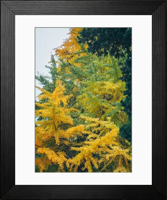 Framed Print : 2s68ar0 Framed Print : 2s68ar0