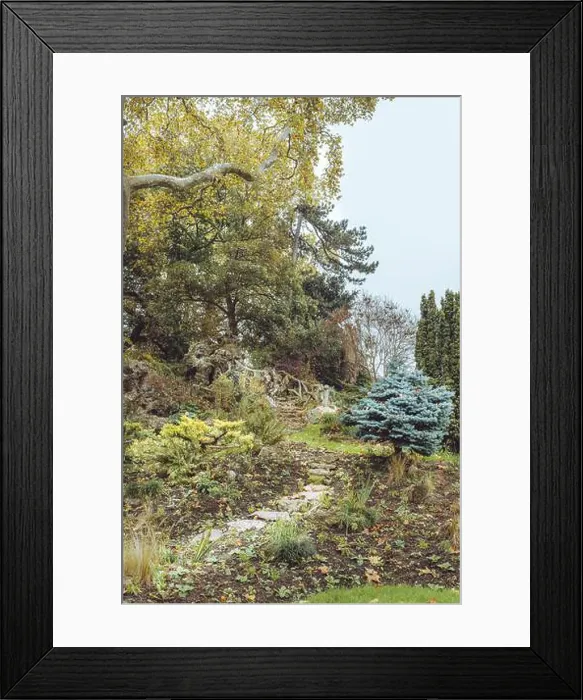 Framed Print : 2s68atc Framed Print : 2s68atc