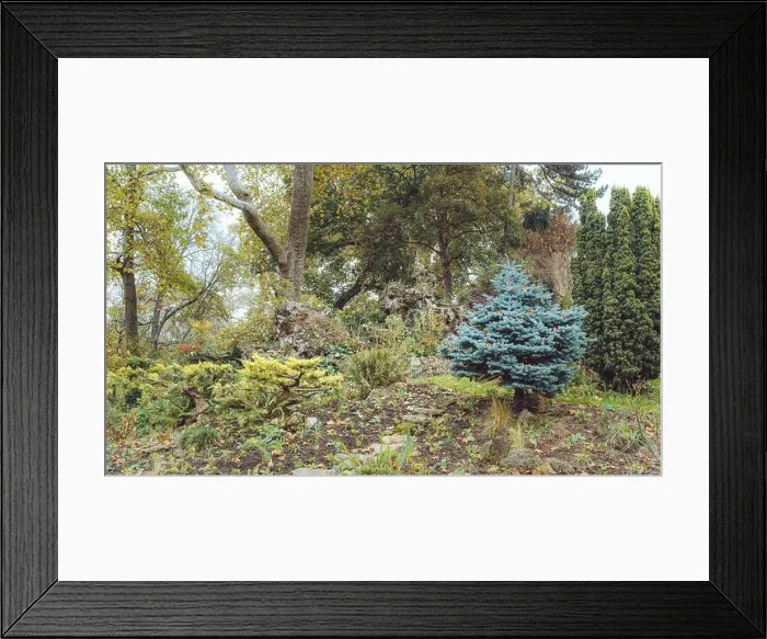 Framed Print : 2s68atp Framed Print : 2s68atp