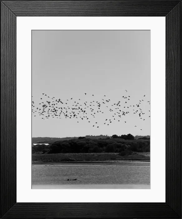 Framed Print : 2s68cw4 Framed Print : 2s68cw4