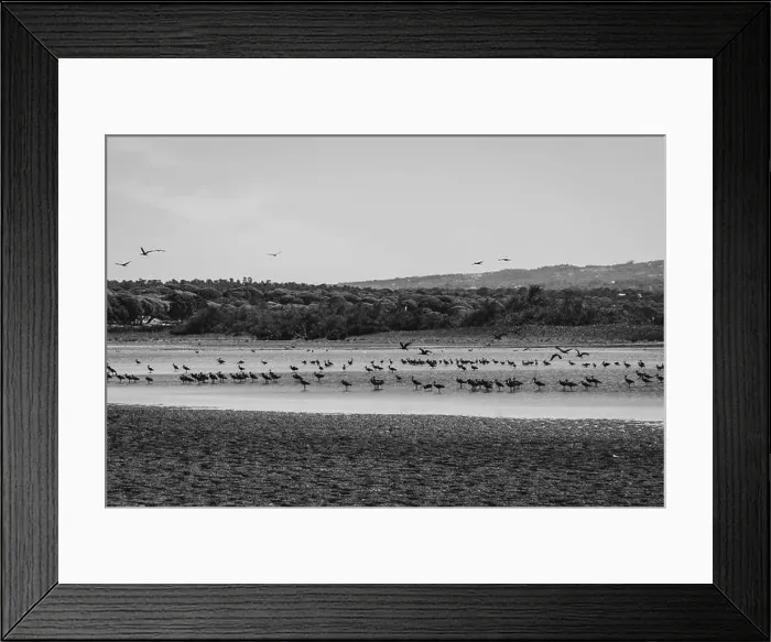 Framed Print : 2s68cwy Framed Print : 2s68cwy