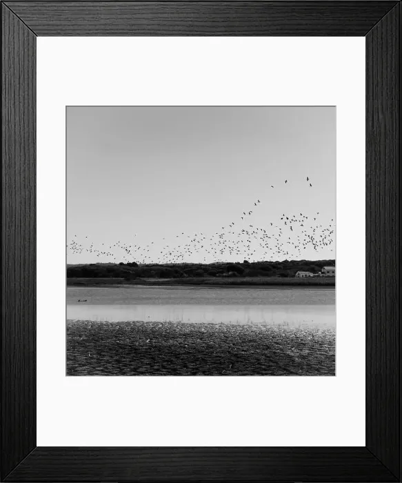 Framed Print : 2s68cx1 Framed Print : 2s68cx1