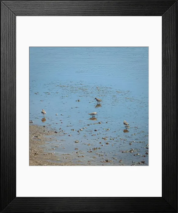 Framed Print : 2s68d10 Framed Print : 2s68d10