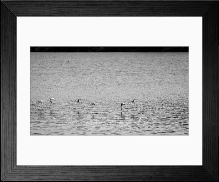 Framed Print : 2s68d13 Framed Print : 2s68d13