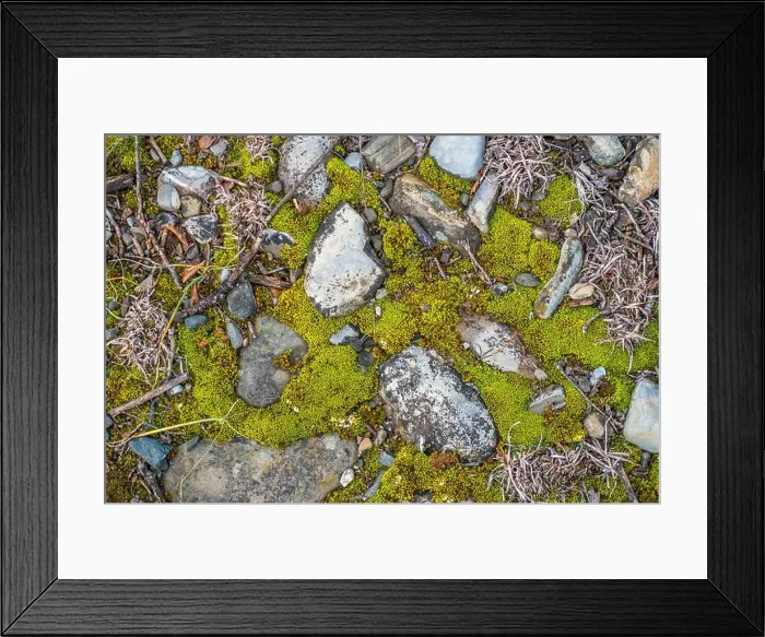 Framed Print : 2s6a62f Framed Print : 2s6a62f