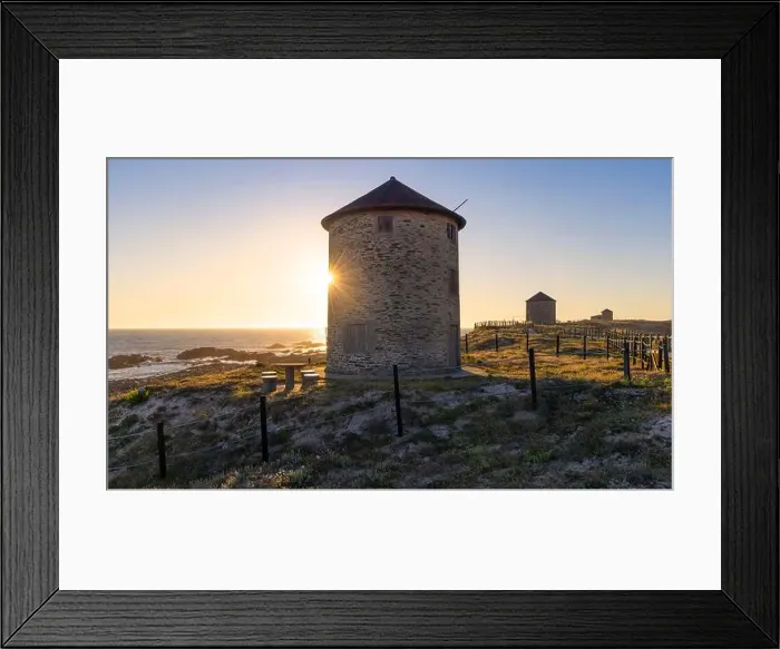 Framed Print : 2s6gt66 Framed Print : 2s6gt66