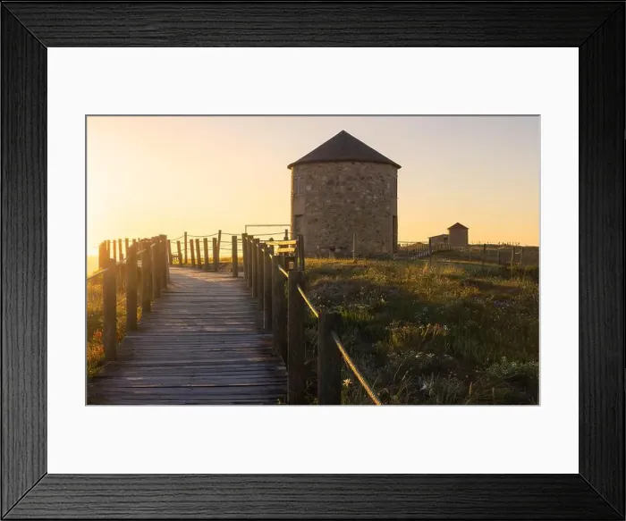 Framed Print : 2s6gt9n Framed Print : 2s6gt9n