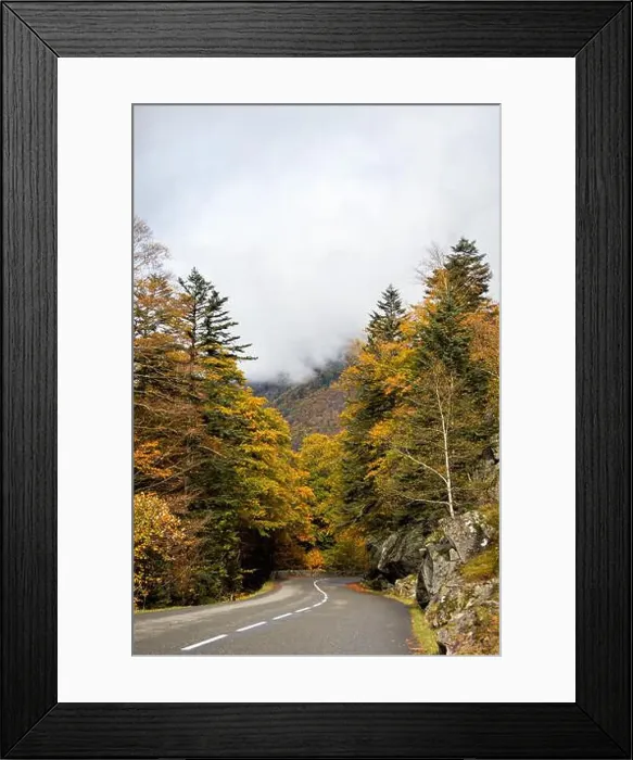 Framed Print : 2s6hwkj Framed Print : 2s6hwkj